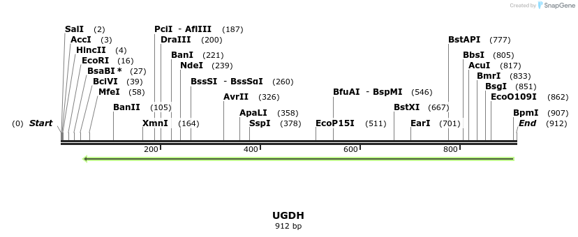 51243_map