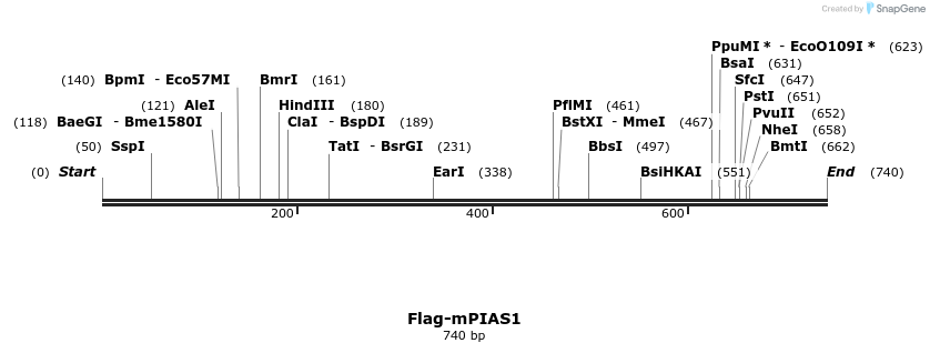 51248_map