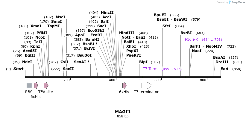 51256_map