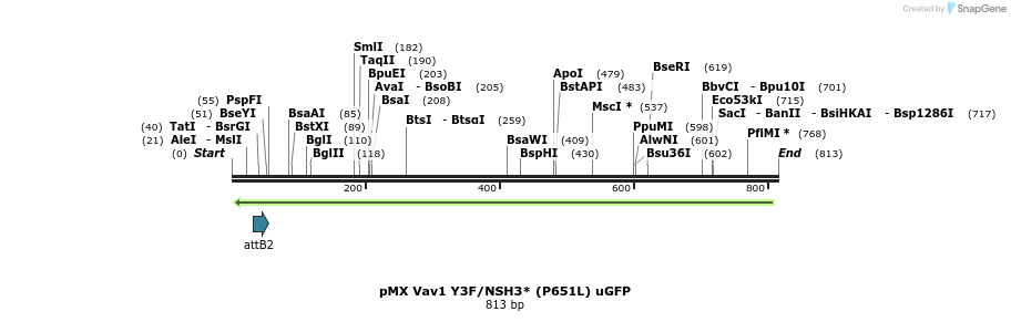 51258_map