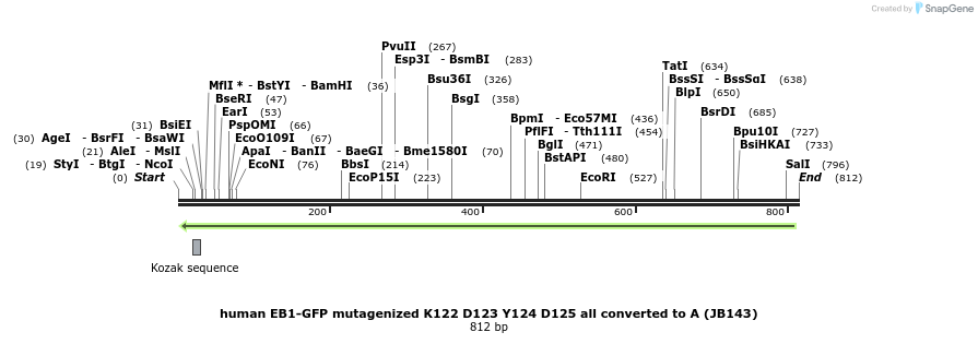 51260_map