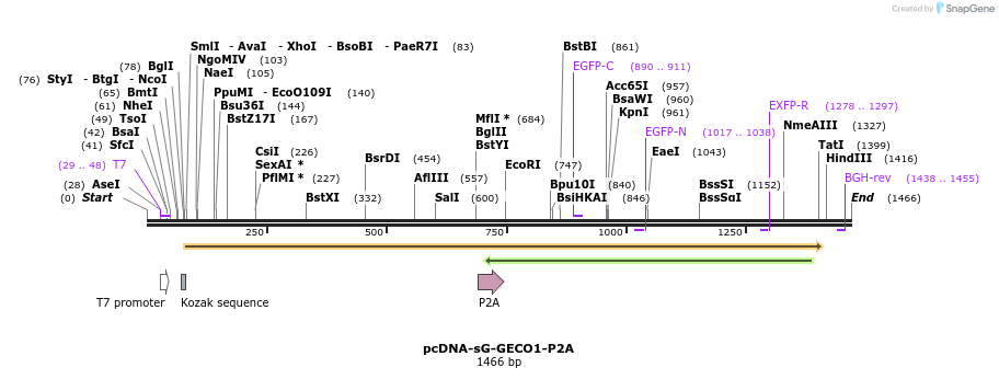 512640_map