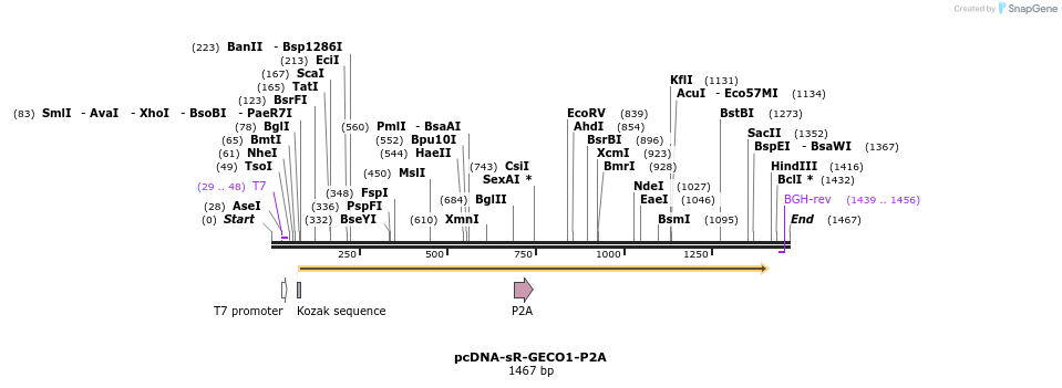 512641_map