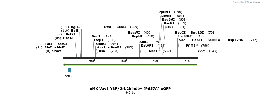 51265_map