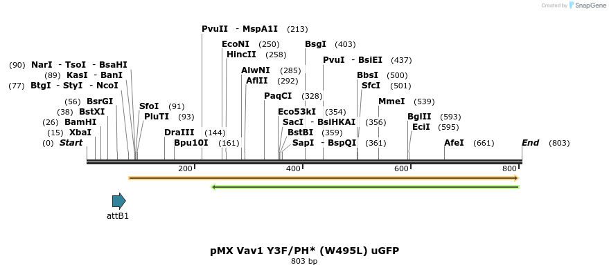 51267_map
