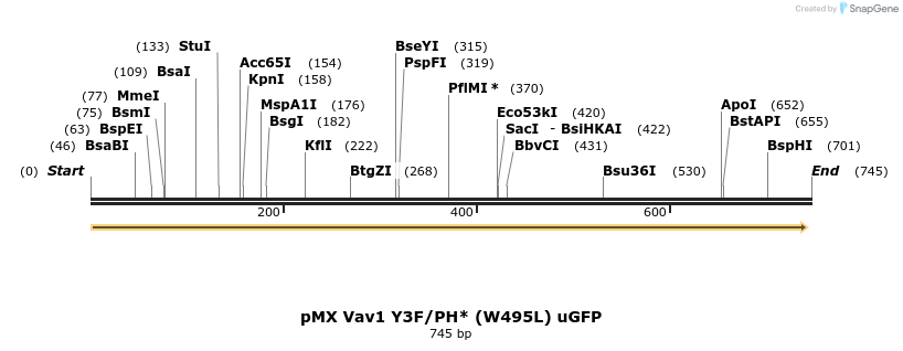51269_map