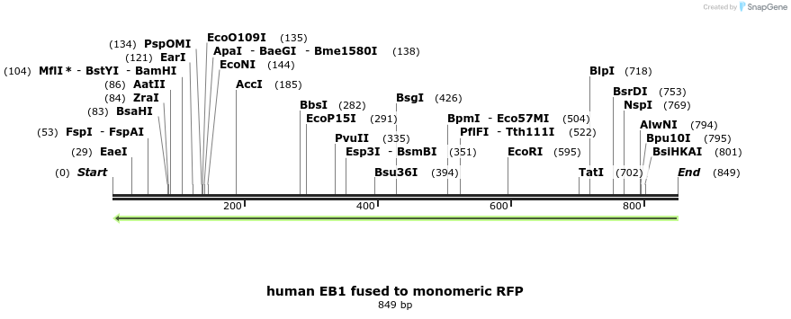 51270_map