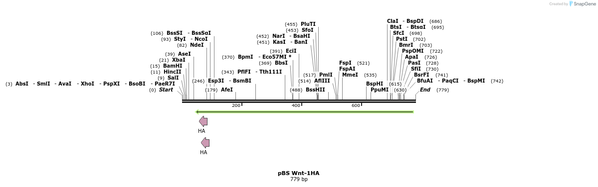 51271_map