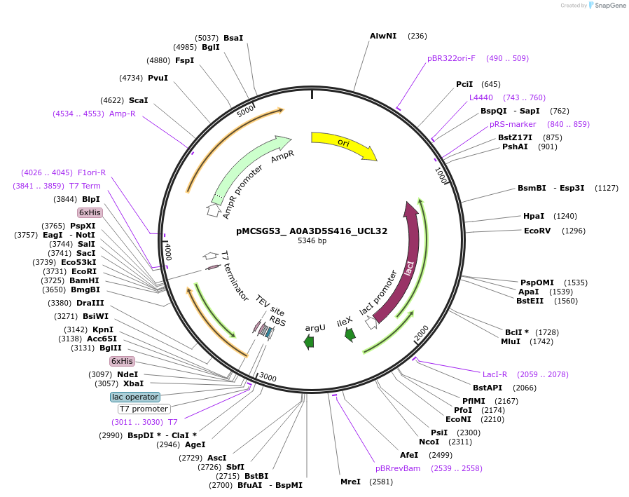 512718_map