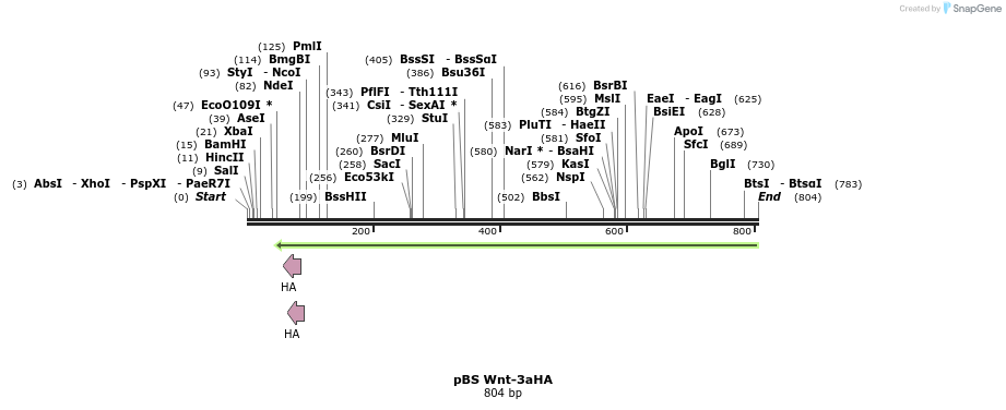 51273_map