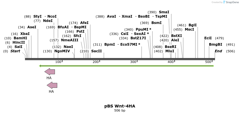 51274_map