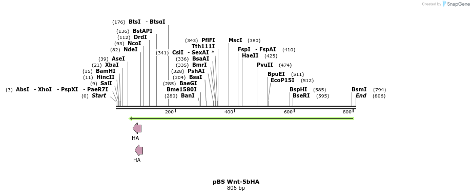 51275_map