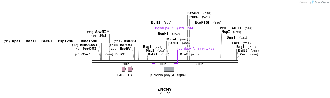 51279_map