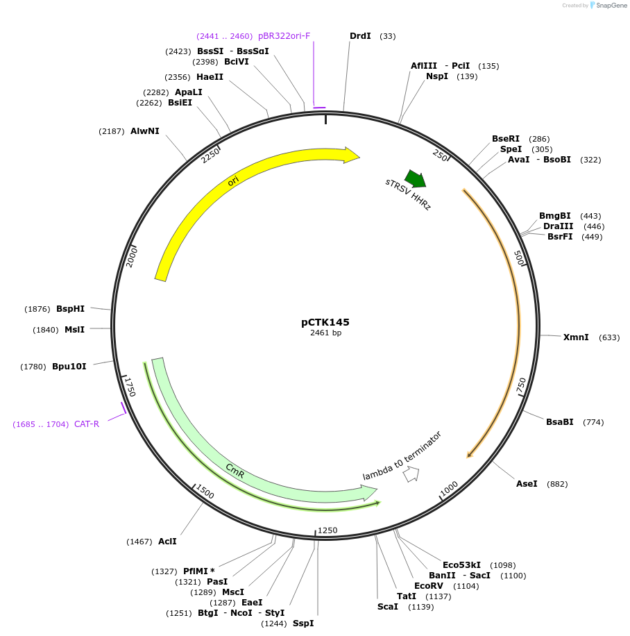 248508-plasmid-map-sequence-id-512816