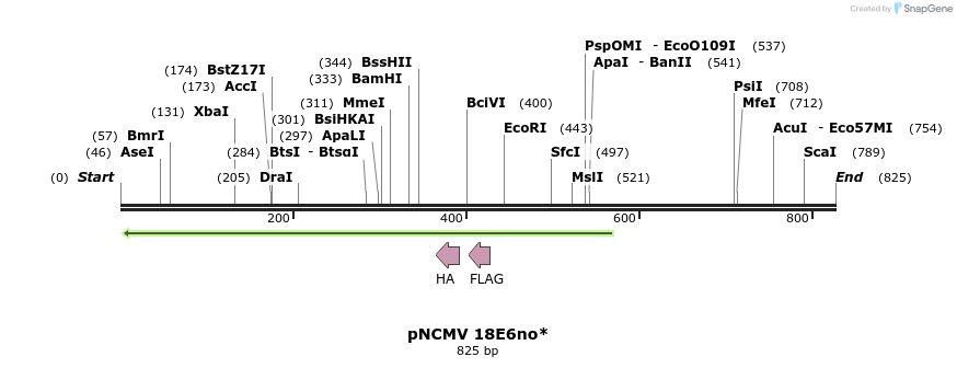 51284_map