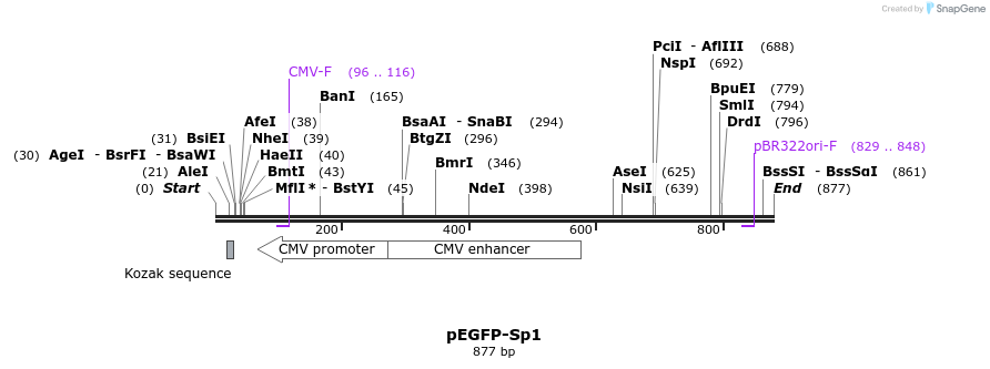 51289_map