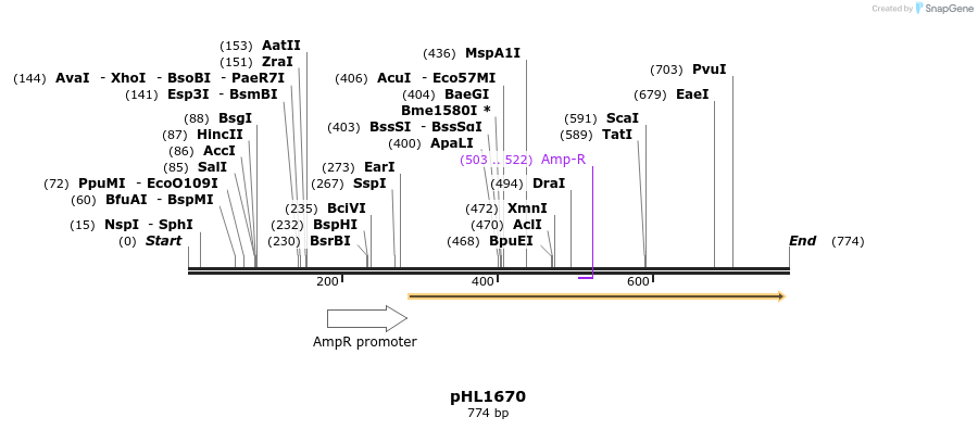 51291_map