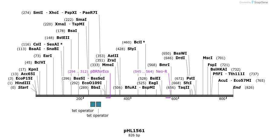 51296_map