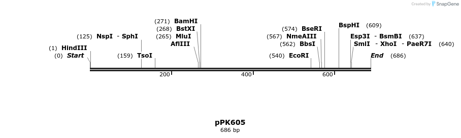 51298_map