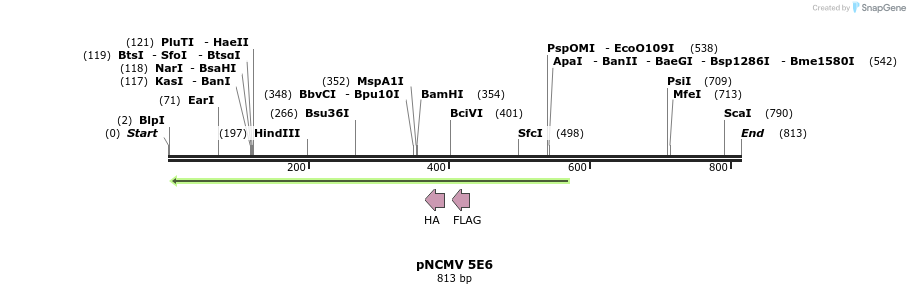 51324_map