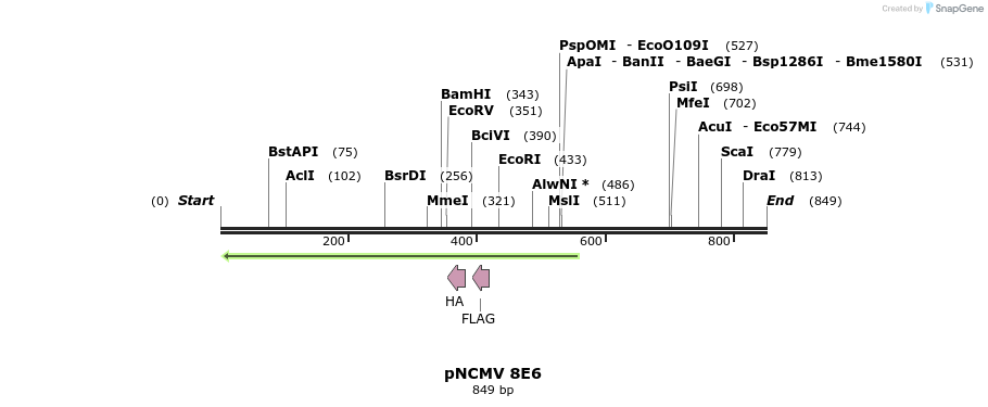 51325_map