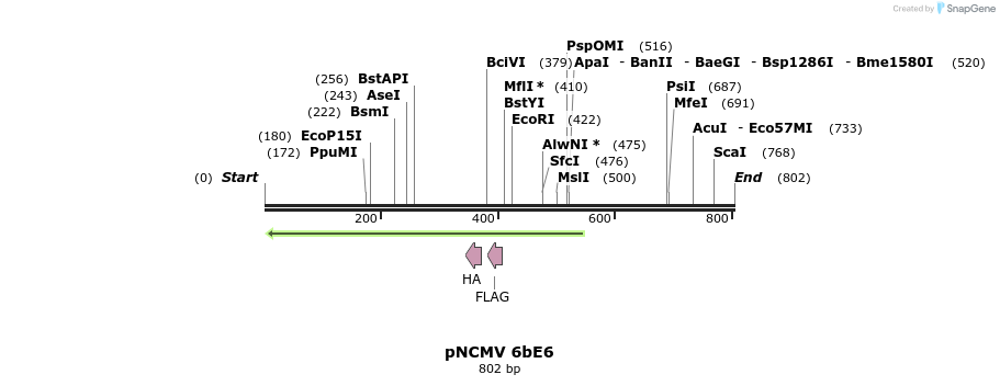 51328_map