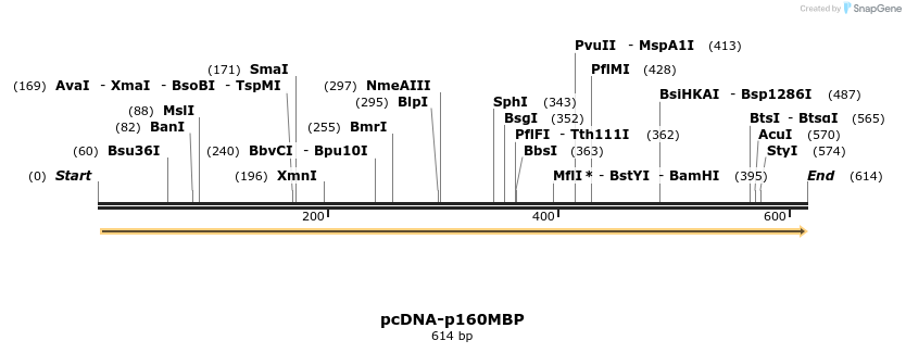 51330_map