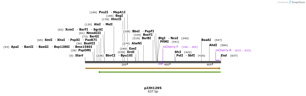 51334_map