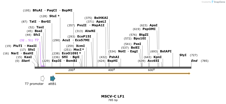 51337_map