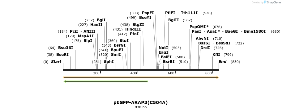 51342_map