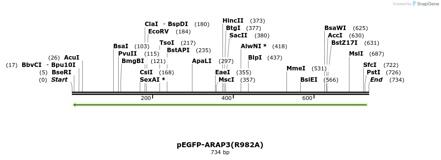 51343_map