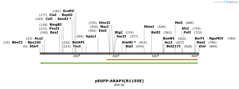 51344_map