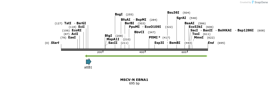 51345_map