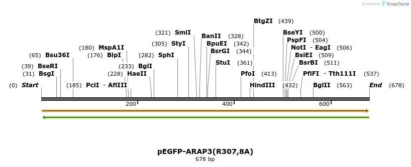 51346_map