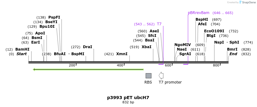 51348_map