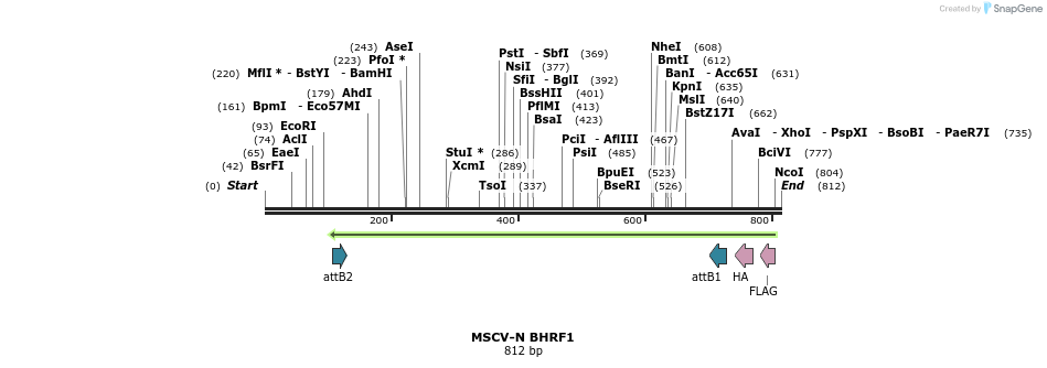 51350_map