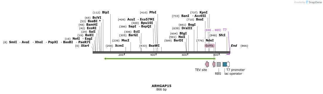 51357_map