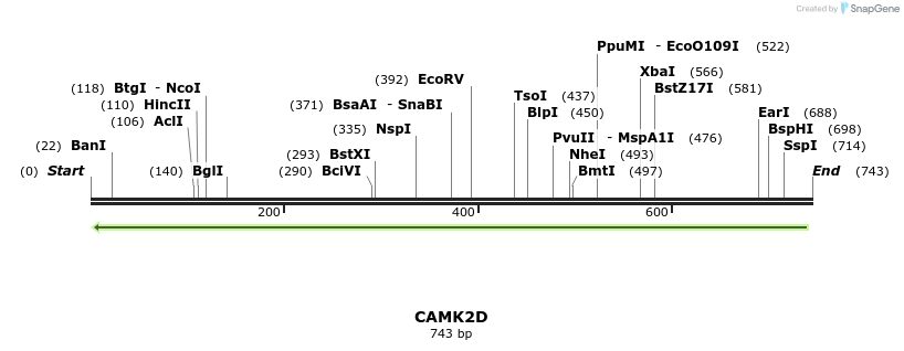 51359_map