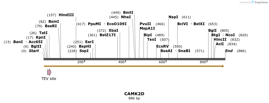 51360_map
