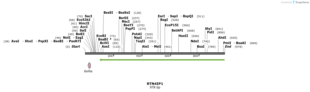 51361_map