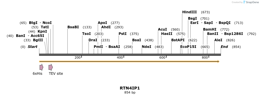 51363_map