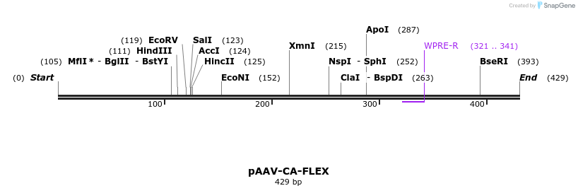 51367_map