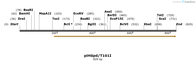 51368_map