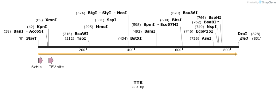 51371_map