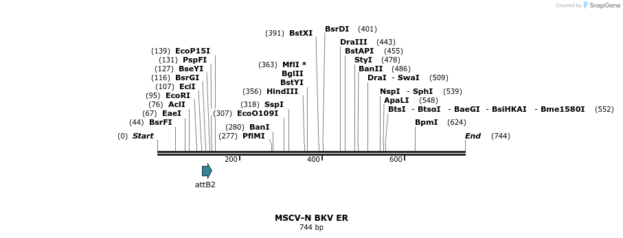 51377_map