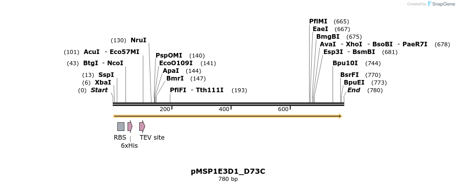 51378_map