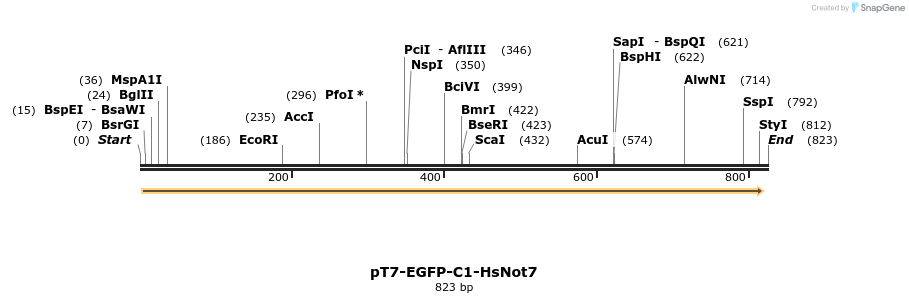 51380_map