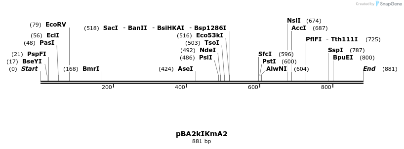 51382_map
