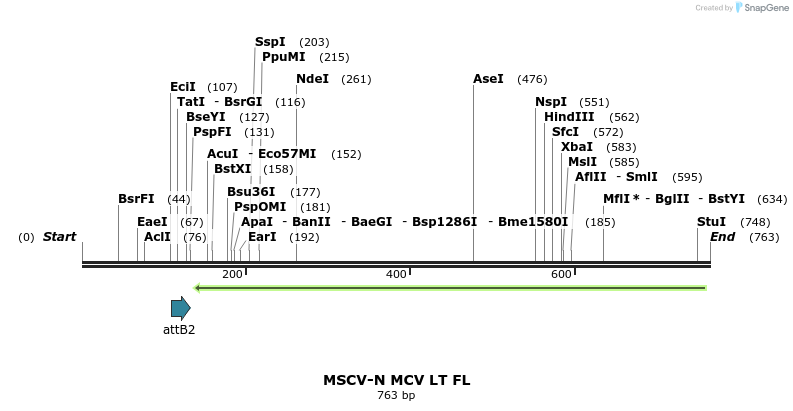 51385_map