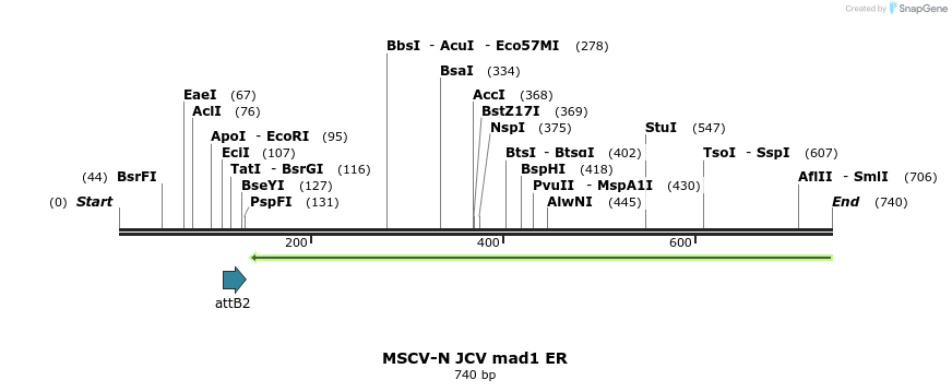 51388_map
